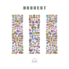 cover art for NOQUEST III