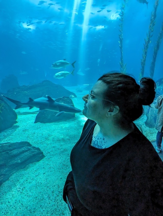 my partner looking at the sharks and fish at the Oceanário de Lisboa